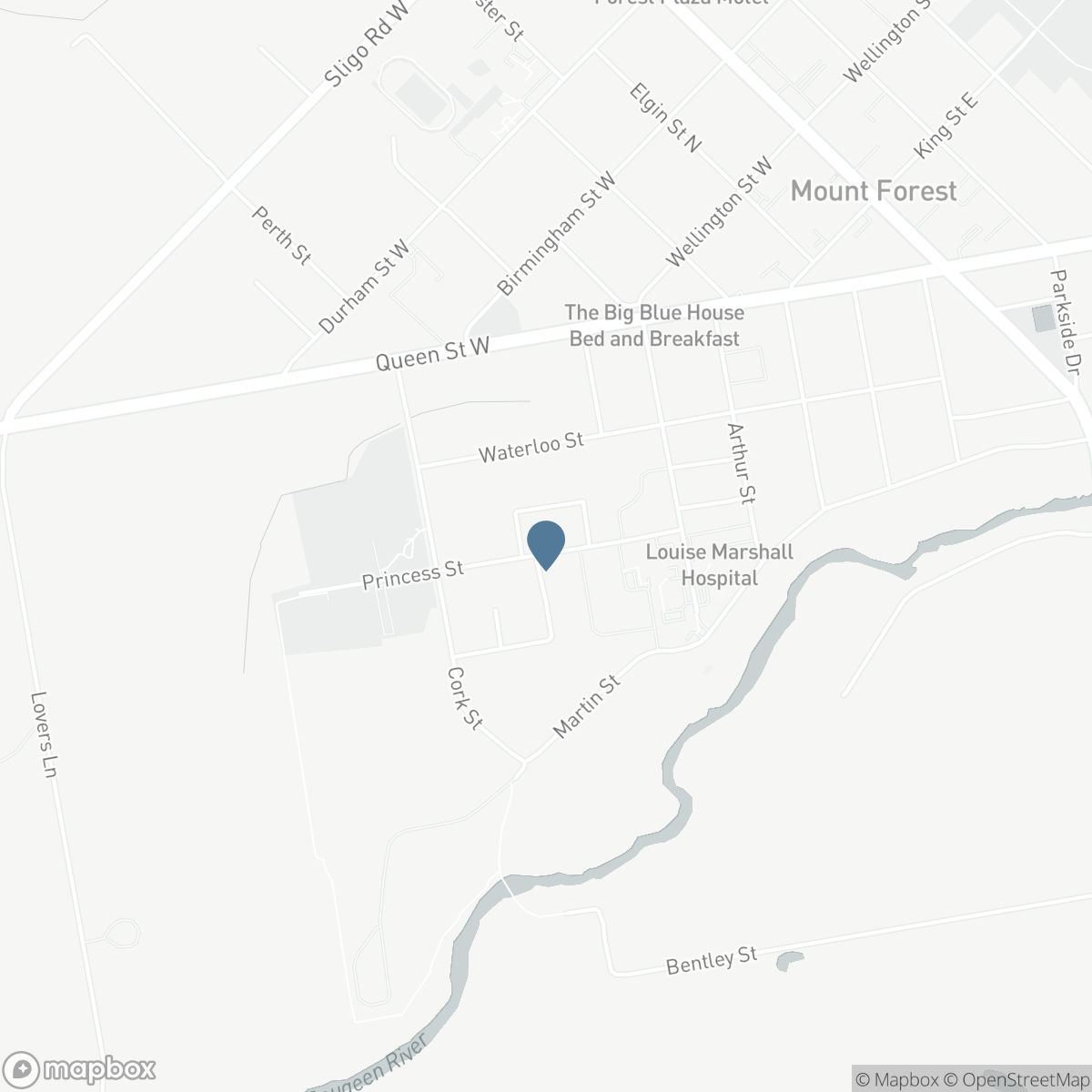 771 PRINCESS STREET, Mount Forest, Ontario N0G 2L3